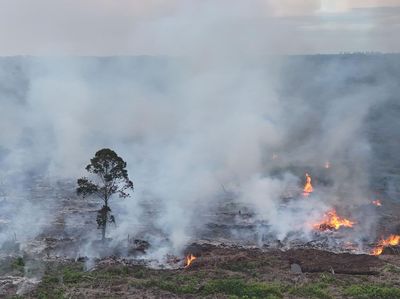 Karhutla di Nagan Raya Meluas, 90 Hektare Lahan Gambut Terbakar