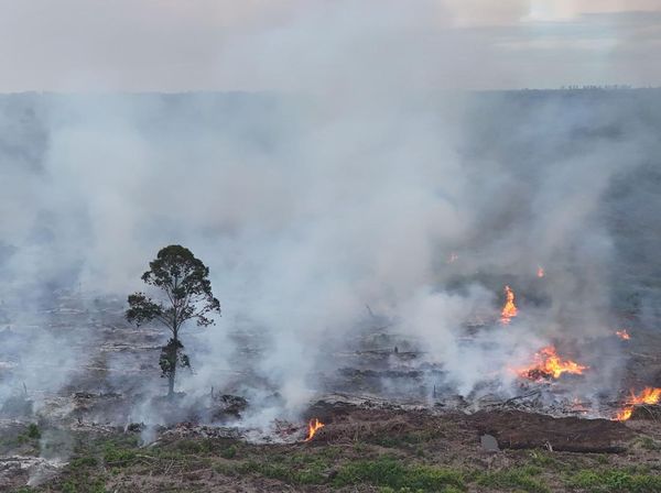 Karhutla di Nagan Raya Meluas, 90 Hektare Lahan Gambut Terbakar