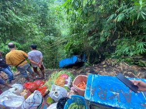 Pikap Hilang Kendali Masuk Jurang di Sitaro, 1 Penumpang Luka