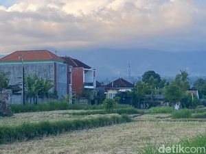 DPRD Karangasem Dorong Sidak 440 Hektare Sawah Beralih Jadi Vila