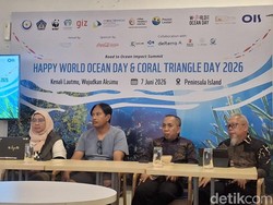 50% Lebih Sampah Laut Berasal dari Darat, Ancaman Serius Ekosistem