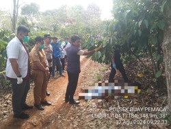 Terungkap! Motif Pembunuhan di OKU Selatan karena Korban Kerap Hina Ibu Pelaku
