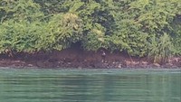 Jatuh dari Kapal, Pria di Lampung Bertahan Semalaman di Pulau Penjurit