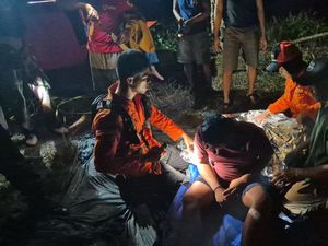 Korban Arya Alami Hipotermia Saat Ditemukan di Hutan Kapuas