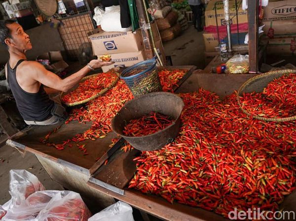 Saat Dolar Menguat, Harga Cabai Ikut Menanjak Tembus Rp84 Ribu per Kg