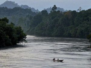 Mengenal Tane Olen, Jejak Dayak Kenyah Oma Lung hingga Mendunia