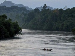 Mengenal Tane Olen, Jejak Dayak Kenyah Oma Lung hingga Mendunia