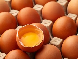 Telur Omega-3 Bukan dari Jenis Ayam Berbeda, Kok Bisa Kandungan Nutrisinya Tak Sama?