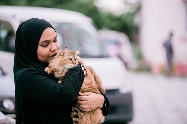 Bulu hewan peliharaan bisa menjadi pemicu asma di rumah/Foto: Pexels.com/Asad Photo Maldives Hewan peliharaan seperti kucing dan anjing dapat menjadi pemicu asma karena bulu, air liur, dan serpihan kulitnya mudah menyebar di udara.