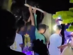 Kronologi Petani Wanita di Buton Selatan Tewas Dililit Ular Piton di Kebun