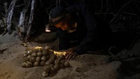 Telur Penyu Dipindahkan ke Penetasan Semi Alami demi Cegah Perburuan