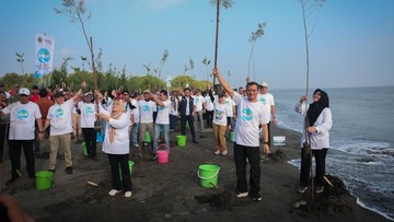 Jateng Tanam 92.290 Bibit Mangrove dan Tanaman Pesisir untuk Cegah Abrasi
