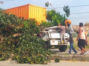 Truk Kontainer Tersangkut Pohon di Karawang, Sopir dan Penumpang Tewas