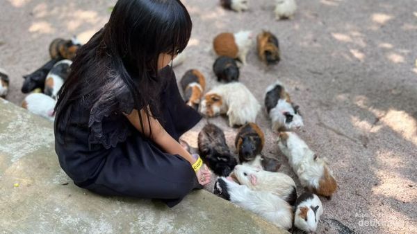 Potret Jakarta Escape, Oase Wisata Edukasi Anak di Bekasi