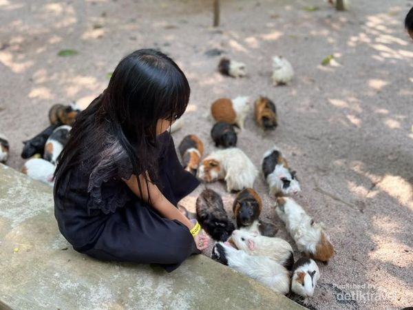Potret Jakarta Escape, Oase Wisata Edukasi Anak di Bekasi