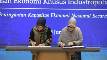 Berita dari Detik Finance: Jurus Holding BUMN Perkuat Pengelolaan Karbon Biru