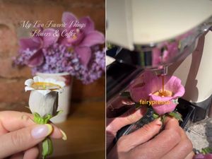 Bukan Pakai Cangkir, Tren Fairypresso Sajikan Kopi di Kelopak Bunga Segar