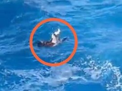 Momen Gadis Terombang-ambing Tanpa Pertolongan di Apparalang Sebelum Hanyut
