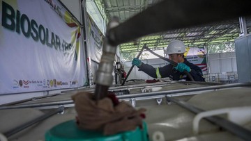 B50 1 Juli Bakal Ganggu Pasokan Minyak Goreng? Ini Jawaban ESDM