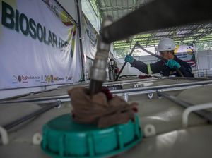 B50 1 Juli Bakal Ganggu Pasokan Minyak Goreng? Ini Jawaban ESDM