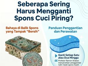 Infografis: Berapa Lama Pemakaian Spons Cuci Piring yang Ideal? Ini Kata Ahli
