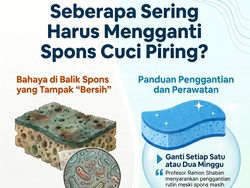 Infografis: Berapa Lama Pemakaian Spons Cuci Piring yang Ideal? Ini Kata Ahli