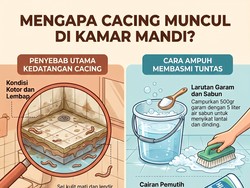 Infografis: 4 Penyebab Cacing Muncul di Kamar Mandi, Nomor 1 Biang Utamanya