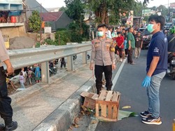 Benda Dikira Mayat Bayi di Flyover Gegerkan Warga Depok, Ternyata Kucing Mati