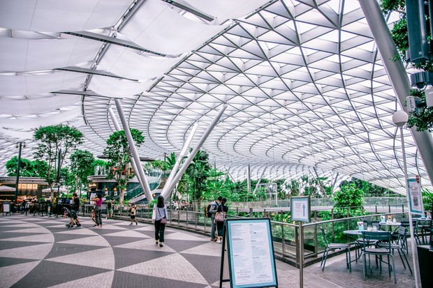Tur kota gratis Bandara Changi Singapura untuk penumpang transit/Foto: Pexels.com/luna ngo Bandara Changi menyediakan program tur kota gratis untuk penumpang transit dengan pilihan wisata kota modern, heritage, hingga kawasan sekitar Changi.