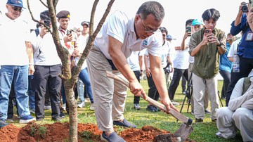 Bangun Ketahanan Iklim, Menteri LH Targetkan Penanaman 2 Miliar Pohon