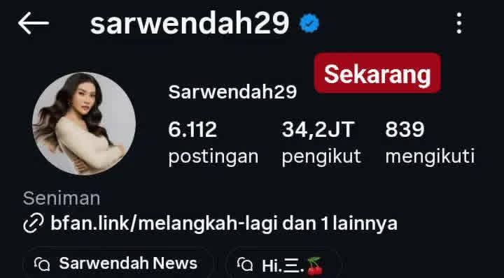 Bio IG Sarwendah