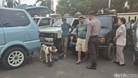 Horor Anjing Pemburu Babi Hutan Tewaskan Bocah di Bogor