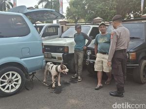 Bocah Bogor Tewas Diserang Anjing Pemburu Saat Mancing, Temannya Selamat