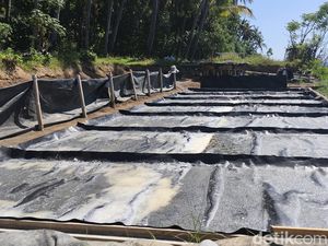 Astra Bantu Desa Les Pertahankan Warisan Garam Tradisional