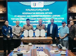 Pemprov Lampung Dorong Studi Kelayakan Kawasan Industri Energi Katibung