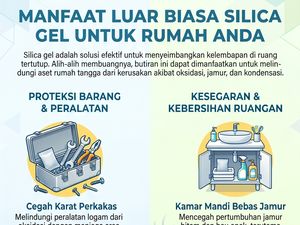 Infografis: Silica Gel Bisa Dipakai buat Pekerjaan Rumah Ini