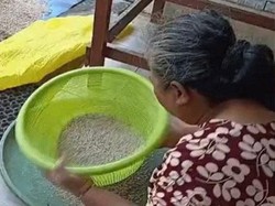 Pedagang Nasi Kuning di Kotim Tertipu Beras Murah, Saat Dibuka Isinya Pasir