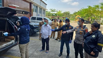 Anjing Pemburu Serang Bocah hingga Tewas di Bogor, Pemilik Diperiksa