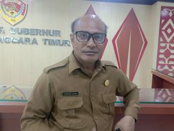 Viral TNI Gusur SD di Ende untuk Kopdes Merah Putih, Pemprov NTT Buka Suara
