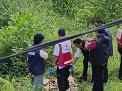 Tengkorak Ditemukan di Kolong Jembatan Sampit, Diduga Bukan Manusia