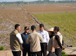Renduk Pascabencana Bawa Harapan Baru Petani-Ketahanan Pangan Berkelanjutan