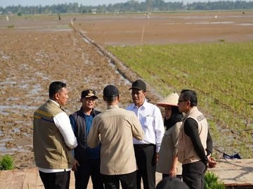 Renduk Pascabencana Bawa Harapan Baru Petani-Ketahanan Pangan Berkelanjutan