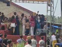 Organ Tunggal Hajatan di Lampung Bikin Tawon Keluar Sarang, Tamu Kocar-kacir