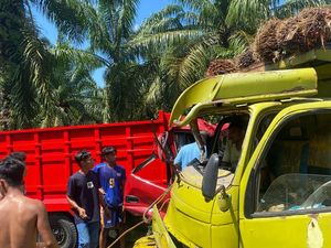 2 Truk Muat Sawit Tabrakan di Mamuju Tengah, 1 Sopir Tewas