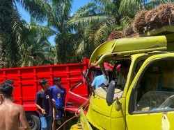 2 Truk Muat Sawit Tabrakan di Mamuju Tengah, 1 Sopir Tewas
