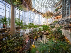 Mal di China Antimainstream, Ada Hutan Indoor hingga Air Terjun Raksasa
