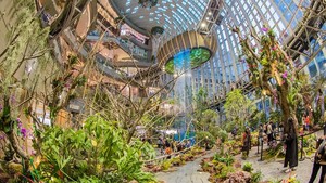 Potret Mal Antimainstream di China, Ada Pohon Melayang-Air Terjun