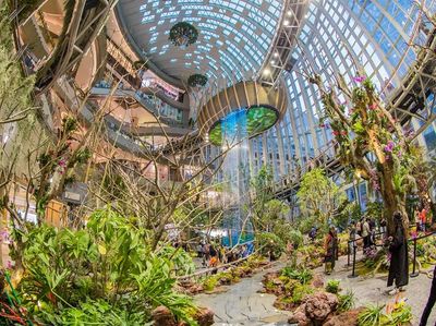Potret Mal Antimainstream di China, Ada Pohon Melayang-Air Terjun