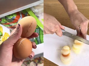 Jangan Asal Ikut Tren! Telur Beku Viral Bisa Picu Kontaminasi Bakteri