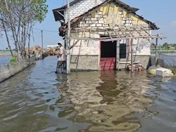 3 Pekan Banjir Rob di Tunggulsari Pati, Puluhan Rumah Terendam